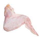 Ailes de poulet Surgelées
